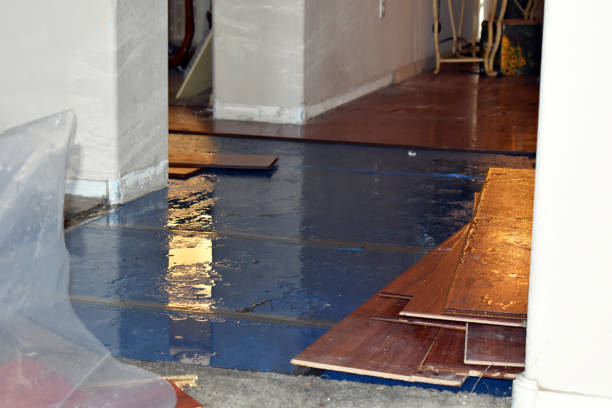 Professional Burst Pipe Cleanup technician working in Essex, CA